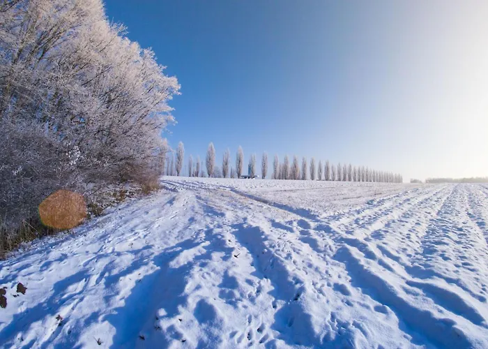 Trate With Shared Pool And Garden شقة ليوتومير